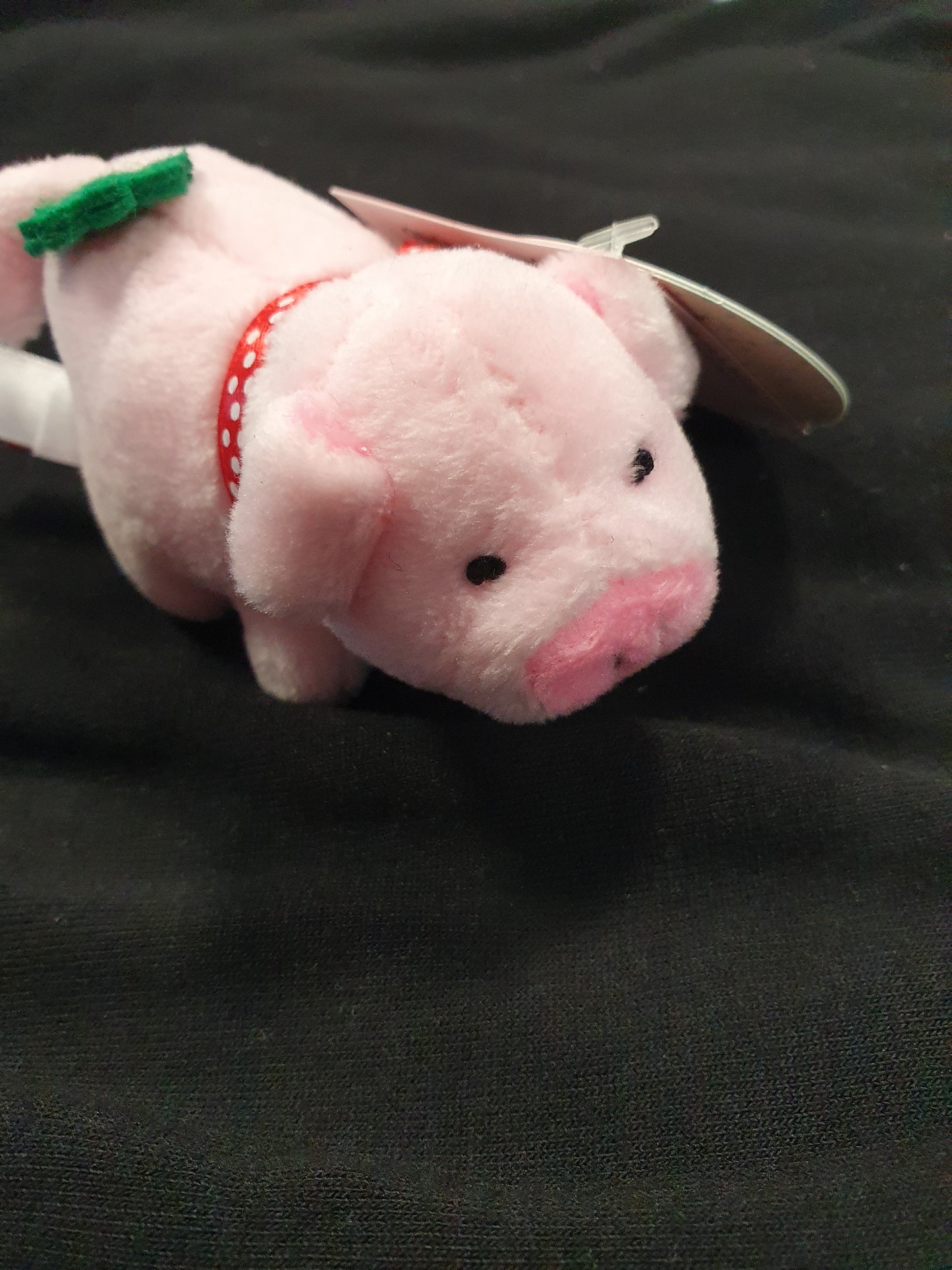 Glücksschweinchen zum aufziehen