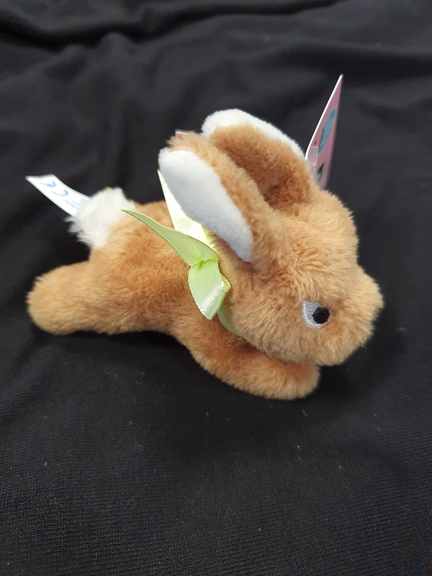 Hoppelhäschen zu aufziehen