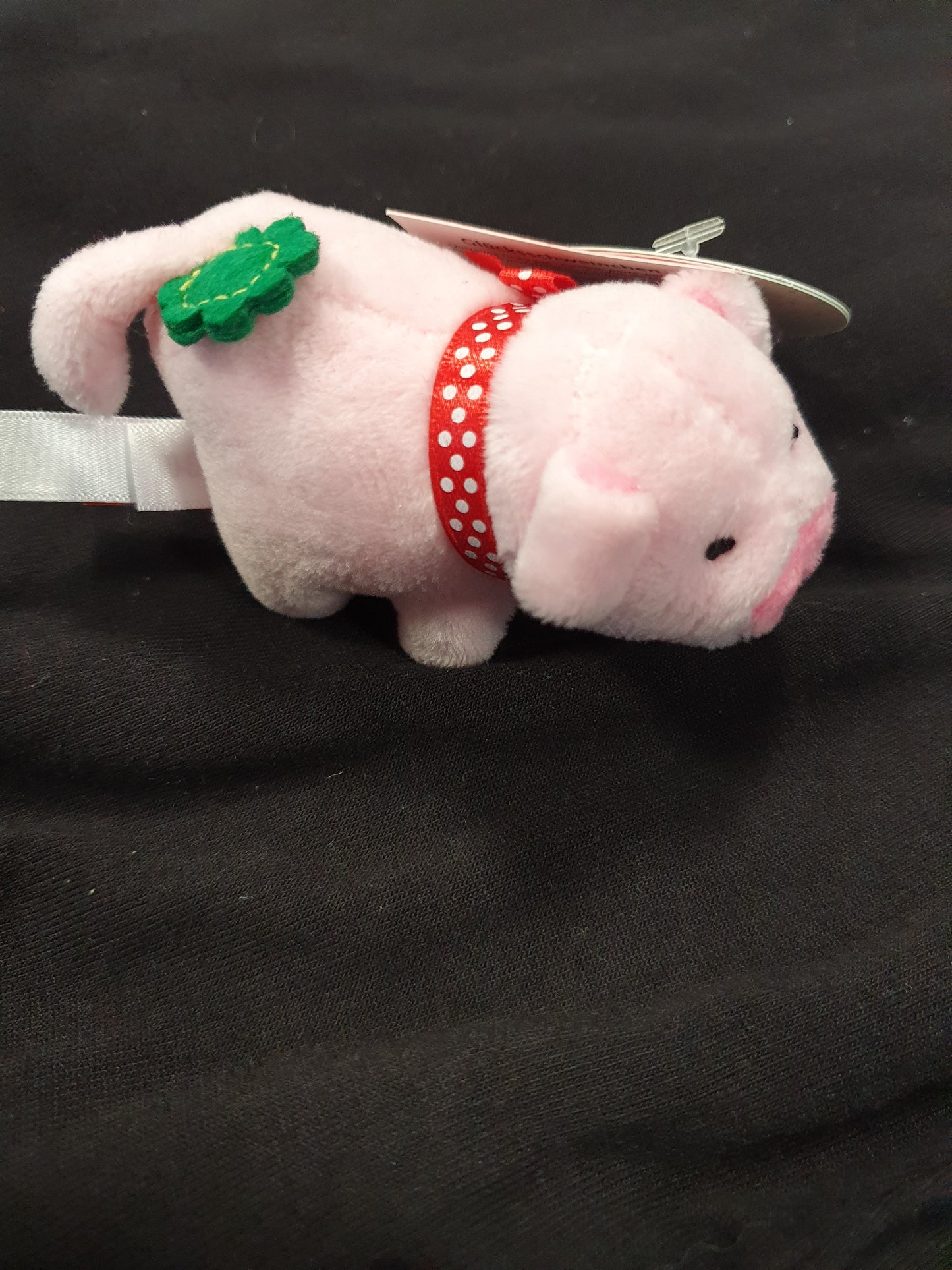 Glücksschweinchen zum aufziehen