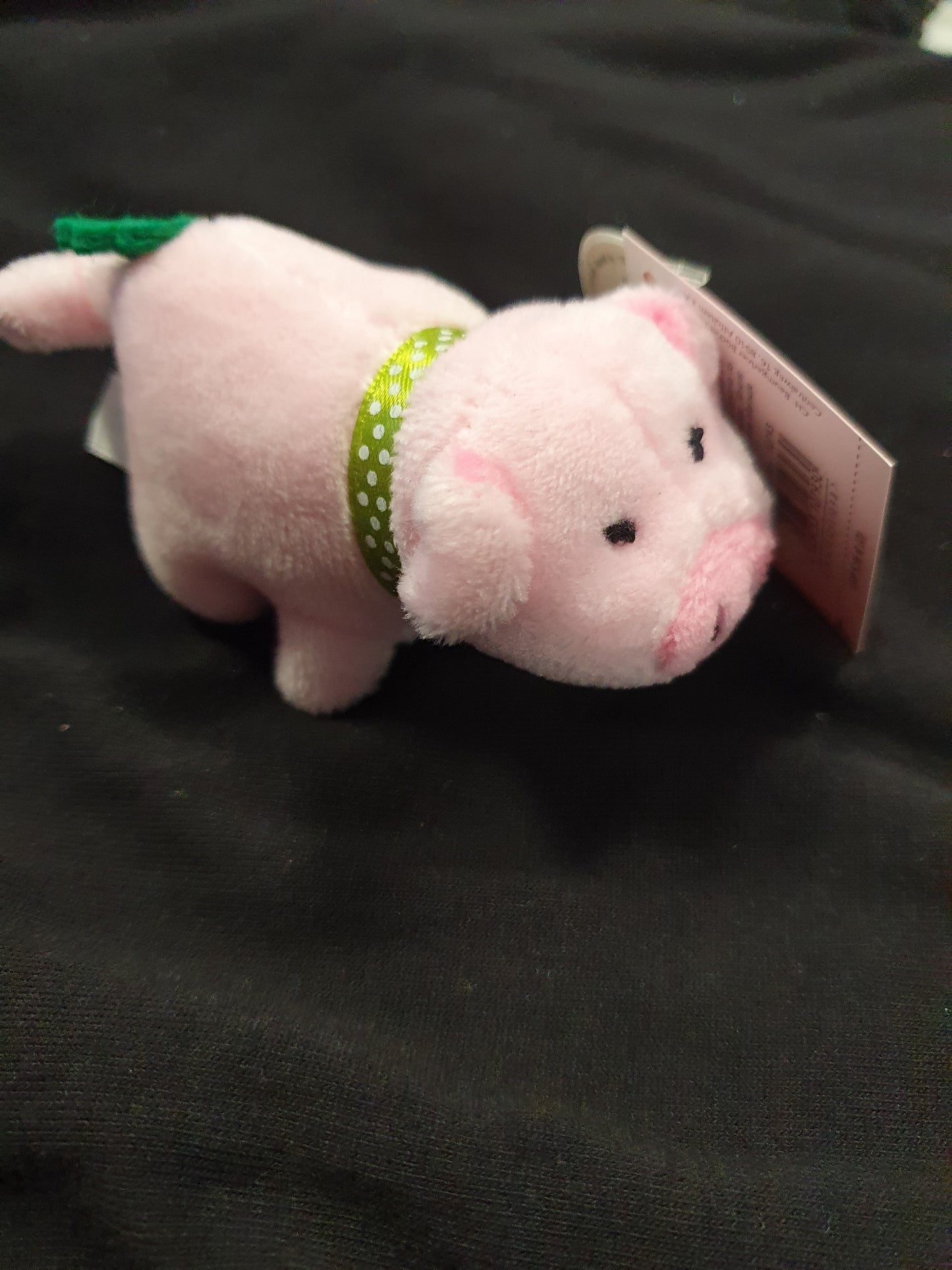 Glücksschweinchen zum aufziehen