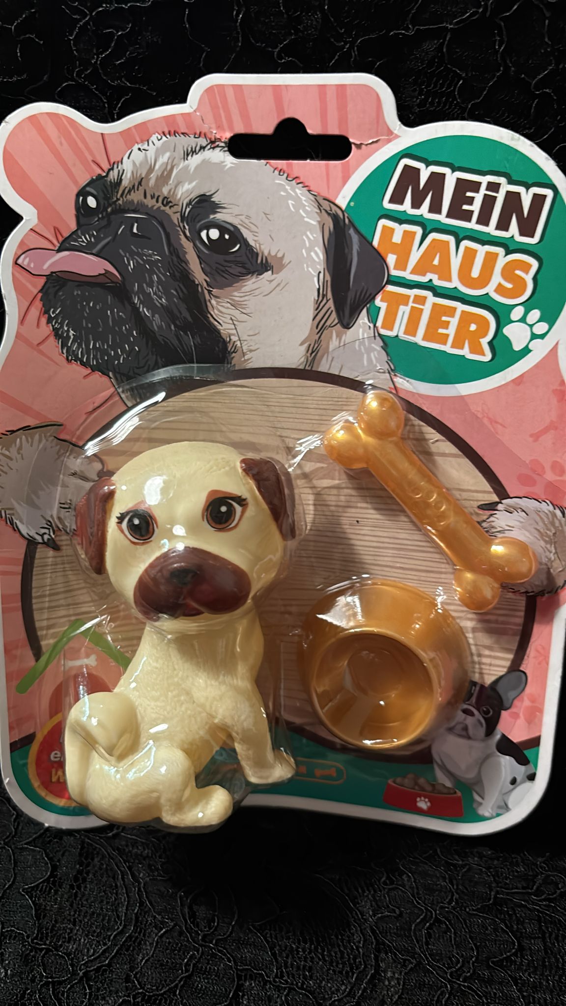 Mein erstes Haustier