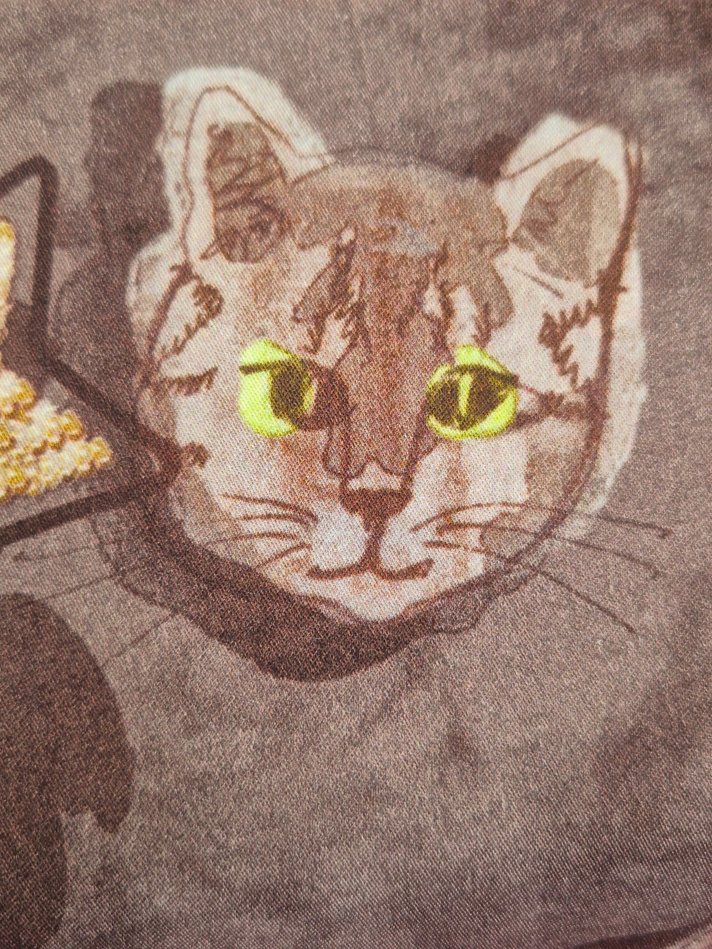 Katze braun Resotex