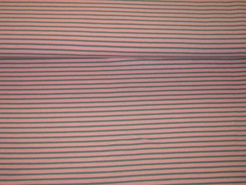 Jersey Campante rosa-grün Ringel